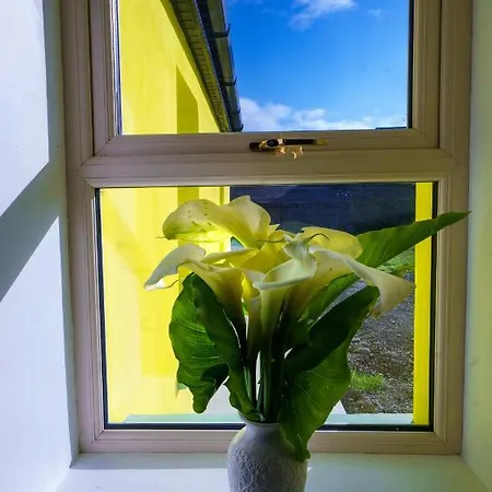 Carrig Island Nyaraló Ballylongford