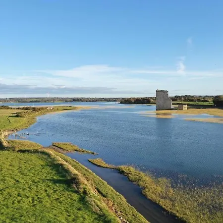 Carrig Island